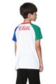 DESIGUAL Tricou cu imprimeu si maneci raglan Baieti