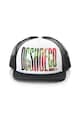 DC Sapca trucker cu imprimeu logo Trippy Barbati