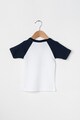 Absorba Tricou din bumbac cu maneci raglan Baieti