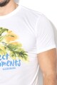 Napapijri Tricou cu imprimeu SOYO FANATASY Barbati