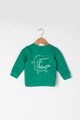 Tom Tailor Kids Bluza sport cu fermoar Baieti