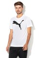 Puma Tricou cu logo pentru antrenament Active Barbati