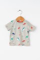 Tom Tailor Kids Tricou cu imprimeu grafic Baieti