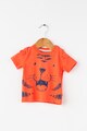 Tom Tailor Kids Set tricou si pantaloni sport cu design animal Baieti