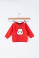 Tom Tailor Kids Bluza cu imprimeu grafic Baieti