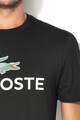 Lacoste Tricou regular fit cu logo Barbati