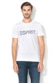 Esprit Slim fit logómintás póló férfi