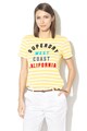 SUPERDRY Tricou in dungi cu imprimeu logo catifelat Femei