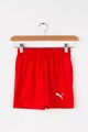 Puma Pantaloni scurti pentru antrenament Liga Core Baieti