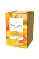 Taylors of Harrogate Infuzie Ceai Mandarina si Ghimbir  20 pliculete, 50 gr. Femei