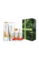 Biolage Trusa profesionala  Advanced Oil Renew pentru par uscat si poros: Sampon, 250 ml + Balsam, 200 ml + Sampon format de calatorie, 50 ml + Balsam format de calatorie, 50 ml Femei