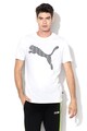 Puma Cat Brand logómintás póló férfi