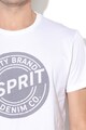 Esprit Tricou regular fit cu imprimeu logo Barbati