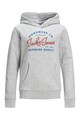 Jack & Jones Суитшърт с качулка и лого I Момчета