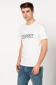 Esprit Tricou din bumbac organic cu imprimeu logo Barbati