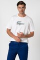 Lacoste Tricou cu imprimeu logo Barbati