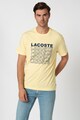 Lacoste Tricou cu imprimeu logo Barbati