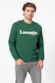 Lacoste Logómintás pamutpulóver férfi