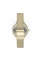 Skagen Ceas cu bratara cu model tip plasa si cu un cadran mother of pearl Anita Femei