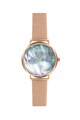 Annie Rosewood Ceas quartz cu bratara de otel inoxidabil cu model plasa Femei