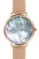 Annie Rosewood Ceas quartz cu bratara de otel inoxidabil cu model plasa Femei