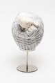 Salomon Caciula din amestec de lana cu model torsade pentru schi Femei