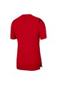 Nike Tricou cu tehnologie Dri-Fit, pentru fitness Barbati