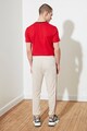 Trendyol Pantaloni sport conici cu benzi laterale contrastante Barbati