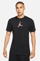 Nike Tricou cu decolteu la baza gatului si tehnologie Dri-Fit Jordan Air Barbati