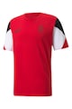 Puma Tricou cu maneci contrastante pentru fotbal ACM FtblCulture Barbati