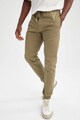 DeFacto Pantaloni slim fit Barbati