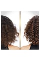 Pantene Sampon  Hair Biology De-frizz & Illuminate, 250 ml Femei