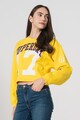 SUPERDRY Bluza sport cu maneci liliac Varsity Femei