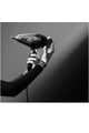 Rowenta Uscator de par  x Karl Lagerfeld Pro Stylist , 2200W, Tehnologia Rowenta Air-to-Care, invelis Keratin&Glow, 3 accesorii, jet de aer rece, cablu 1.8m, negru&gri Femei