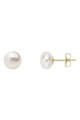 Lisa&Co. Cercei cu tija de argint placati cu aur de 14K cu perla Femei