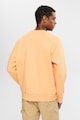 EDC by Esprit Kerek nyakú pamuttartalmú pulóver férfi