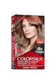 Revlon Vopsea de par  Colorsilk 60 DARK ASH BLONDE Femei