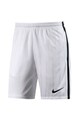 Nike Pantaloni scurti pentru fotbal Squad Barbati