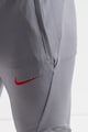 Nike Футболен панталон с лого и Dri-FIT Мъже