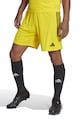 adidas Performance Tiro 23 futball rövidnadrág férfi