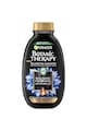 Garnier Sampon  Botanic Therapy Magnetic Charcoal & Black Seed Oil, 400 ml Femei