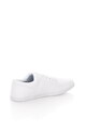 Boxfresh Spencer Vászon Plimsolls Cipő férfi