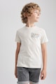 DeFacto Памучна тениска с овално деколте Момчета