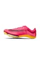 Nike Pantofi pentru alergare Air Zoom Victory Femei