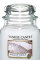 YANKEE CANDLE Lumanare parfumata medie in borcan Angel Wings Barbati