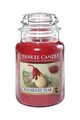 YANKEE CANDLE Lumanare parfumata mare in borcan Cranberry Pear Barbati