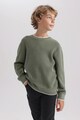 DeFacto Памучен пуловер Момчета