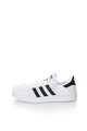 adidas Originals Pantofi sport alb cu negru tricotati Superstar Barbati