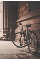 4Decor Пано с изображение на колело Мъже