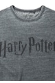 Recovered Tricou cu imprimeu Harry Potter Classic Logo Charcoal 5465 Barbati